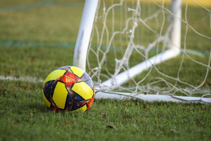 见到了樊振东，简直一生梦想